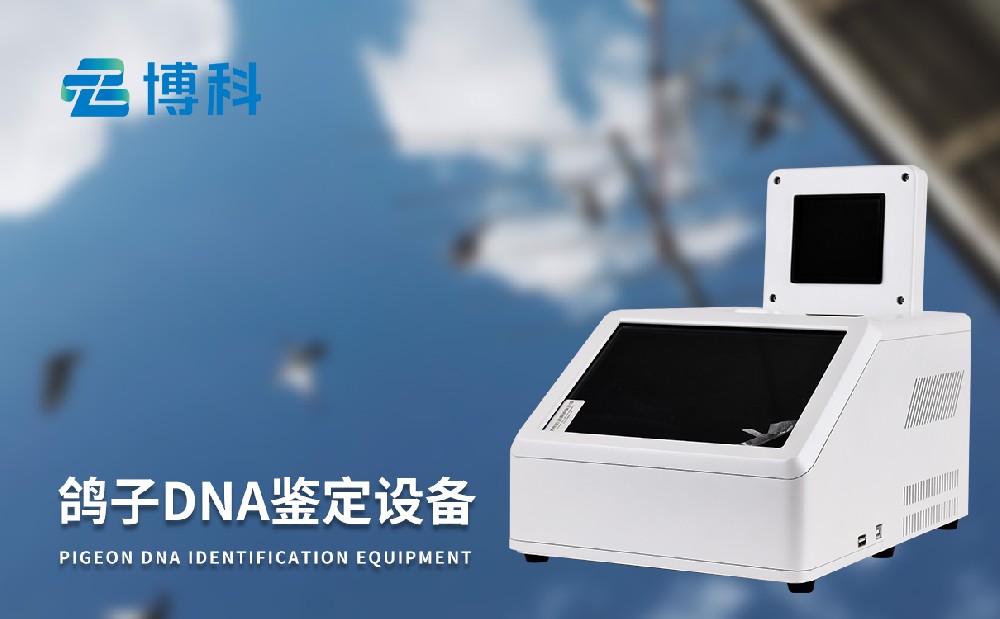 鸽子dna检测仪器